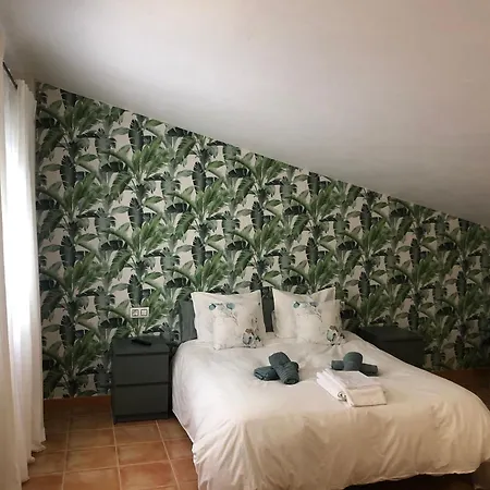 El Atico De Lola El Bosque (Cadiz)